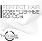 Перейти perfect hair foto logo 01